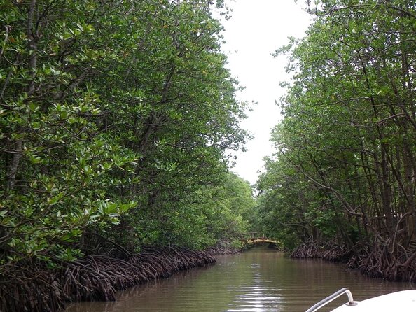 1-Day Can Gio Island-Mangrove Biosphere Reserve-Trekking - Key highlights worth getting excited about