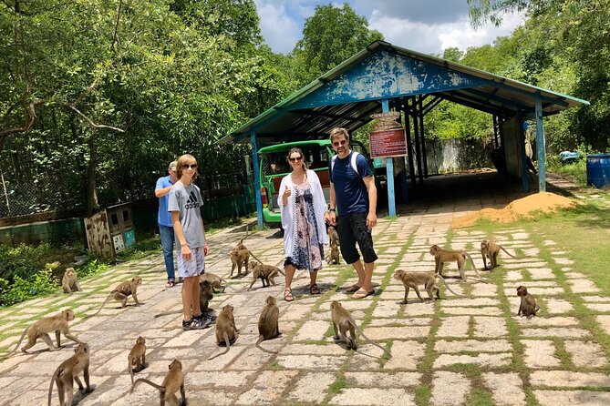 1-Day Can Gio Island-Mangrove Biosphere Reserve-Trekking - The 2 km trek toward Chiến Khu Rừng Sác: manageable, but not “sit and watch”