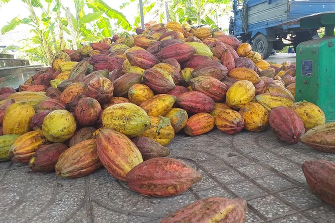 2-Day Mekong Delta with Cai Cang Floating Market from HCM City - HCM City pickup and the smooth start to a very long day