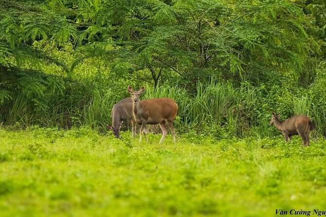 2-Day Trekking & Biking Nam Cat Tien National Park from HCM City - Bau Sau (Crocodile Lake): jeep, short trek, and water time