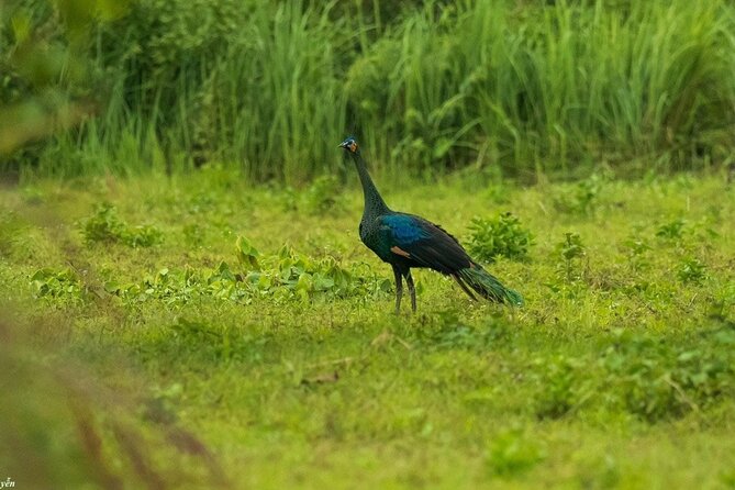2-Day Trekking & Biking Nam Cat Tien National Park from HCM City - What all the included meals and lodging really do for you