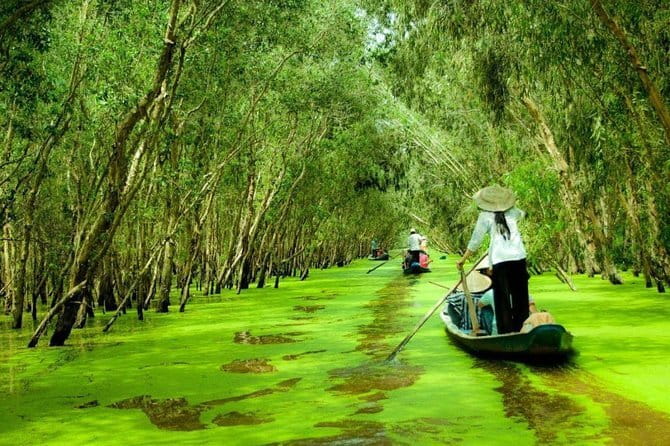 3 Days Mekong Delta Luxury Group Tour from Ho Chi Minh City - Guides and service: why the day feels smooth