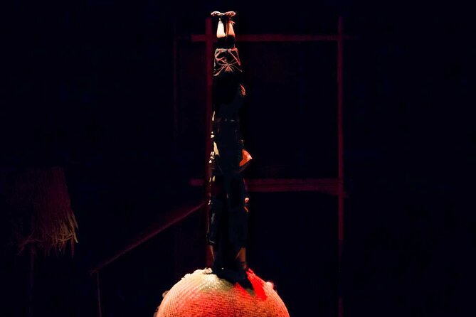 A O Show - Included: Tour guide, Car Pick Up And Drop Off - What’s good about the show’s “story through movement”