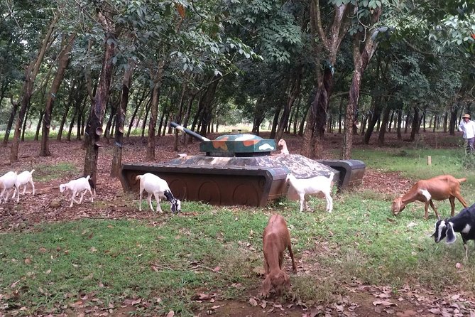 Australian Base, Long Tan & Nui Dat Tour with Vung Tau Beach - What you’re really paying for: guidance, tickets, and emotional pacing