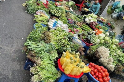 Authentic Vietnamese Cooking Class with Market Visit in HCMc - How you actually cook: pick 3 dishes and follow the chef’s process