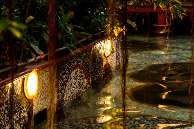 Authentic Vietnamese Dinner And Water Puppet Show - Practical tips for a smoother night