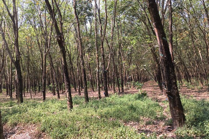 Ben Duoc - Authentic Cu Chi Tunnels Private Tour - Getting the Most Out of the Day: Timing, Heat, and What to Bring