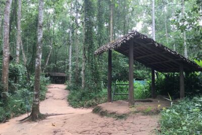Best Private Tour Cu Chi Tunnels and Mekong Delta Full Day - My Tho After Lunch: Where the City Ends and Rice Fields Begin