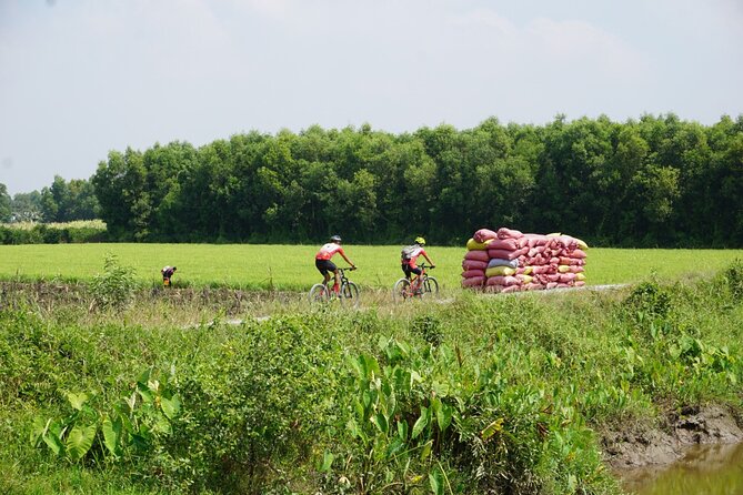 Bike And Boat Mekong Delta Cycling Tour - Cycling Through Long An and Tien Giang: What the 40 km Route Is Like