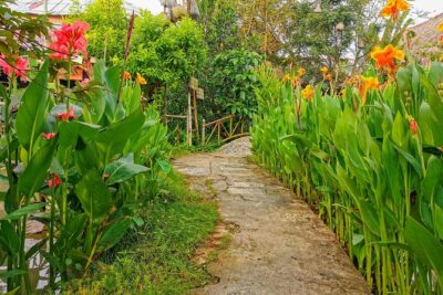 Cai Be Village - One-Day Mekong Delta Adventure - Ut Kiet ancient house: rice paper, honey wine, and old-school craftsmanship