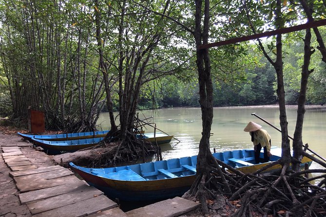 Can Gio Mangrove Eco And Wildlife Discovery Tour - Monkey Island: Can Gio Museum and mangrove conservation in one stop