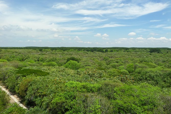 Can Gio Mangrove Eco And Wildlife Discovery Tour - Thousands of monkeys and the kind of tracking you do from a canoe