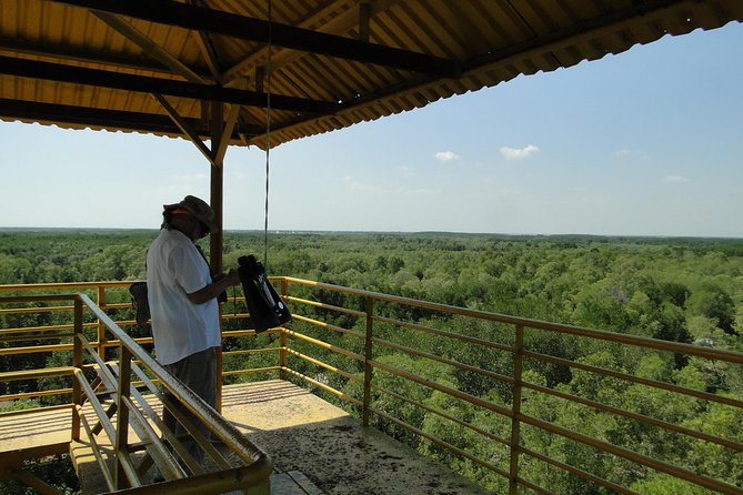 Can Gio Mangrove Eco And Wildlife Discovery Tour - Dan Xay Bridge: the canoe start that sets the tone