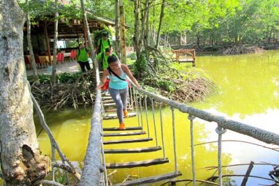 Can Gio Mangrove Forest 1 day tour - Dan Xay bridge pier and the sugar cane juice start