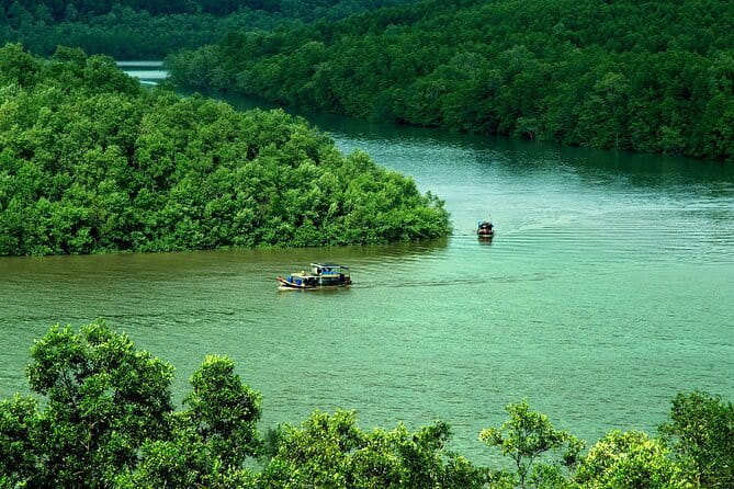 Can Gio Mangrove Forest Island Private Tour From Ho Chi Minh City - Key highlights worth knowing before you go