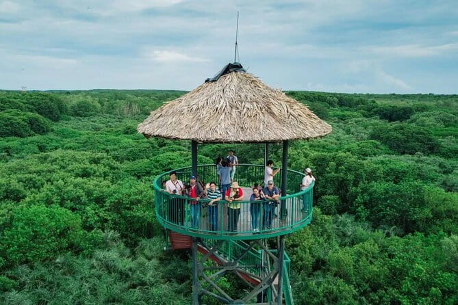 Can Gio Mangrove Forest Island Private Tour From Ho Chi Minh City - Monkey Island rules: seeing monkeys up close without getting into trouble