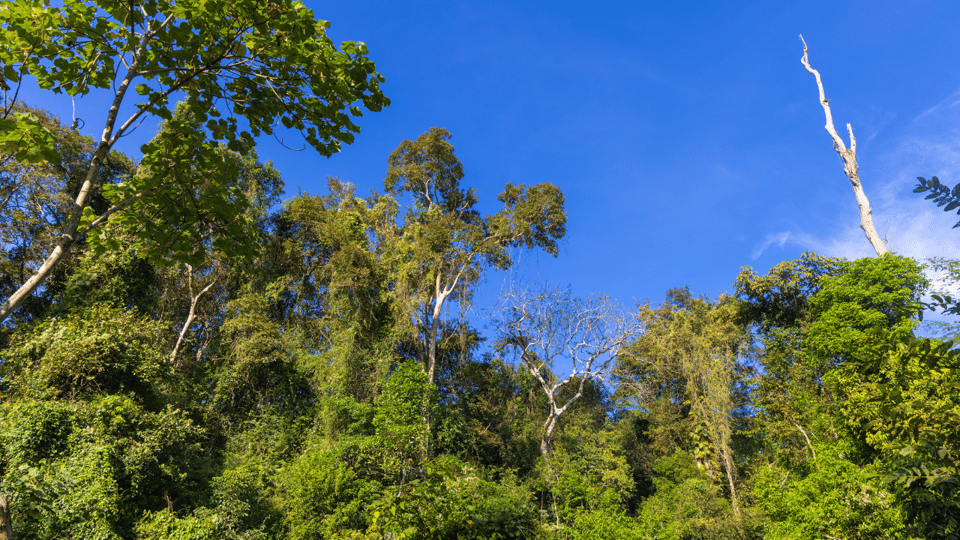Cat Tien National Park with Crocodile Lake - Key things that make this tour worth your time
