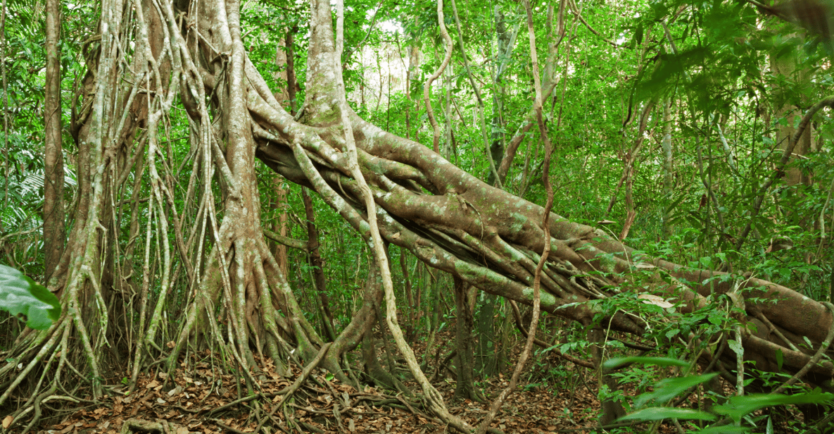 Cat Tien National Park with Crocodile Lake - Price and value: is $165 per person fair for this package?