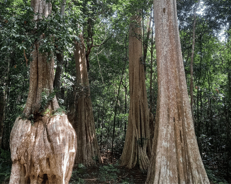 Cat Tien National Park with Crocodile Lake - Who this tour suits best (and who should rethink it)