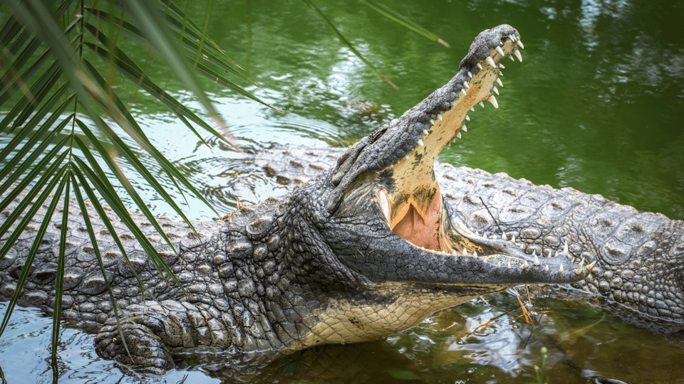 Cat Tien National Park with Crocodile Lake - FAQ