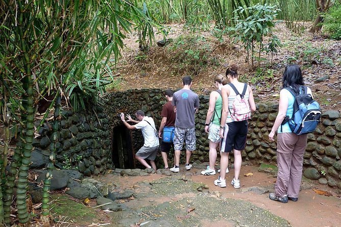 Chu Chi Tunnel With Cao Dai Temple Tour From Ho Chi Minh - Cao Dai Temple in Tay Ninh: The Great Holy See and the Midday Ceremony