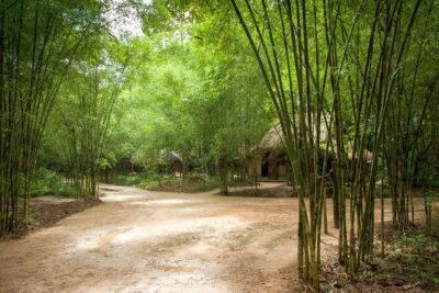 Cu Chi Tunnel Half Day - Small Group Tour - District 1 pickup and a smooth start in Ho Chi Minh City