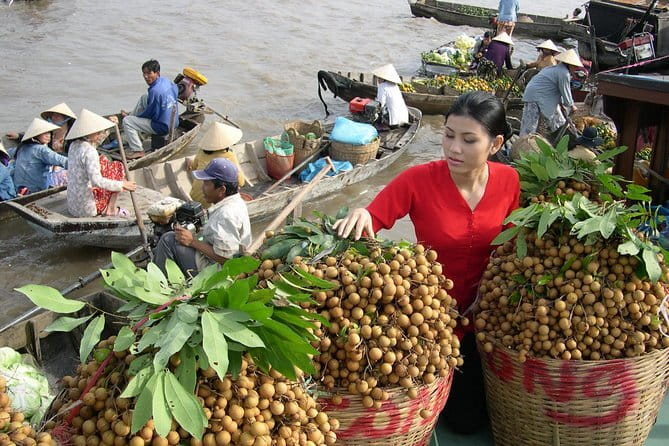 Culture and Wildlife Discovery Explore Chau Doc Tra Su Forest - Ba Chua Xu Temple on Sam Mountain: Culture With a Mekong Lens