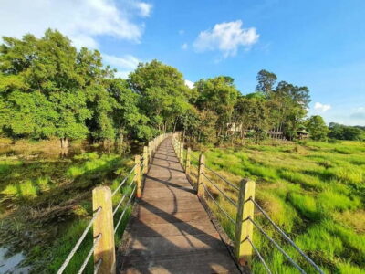 From HCM: Cat Tien Park Jungle Day Trip with Optional 2D1N - Hotel Pickup, Timing, and Why Early Starts Aren’t a Dealbreaker