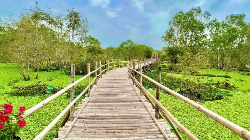 From Ho Chi Minh: 3-Day Mekong Tour&Cai Rang Floating Market - Tra Su Forest in An Giang: mangroves from a rowing-boat perspective