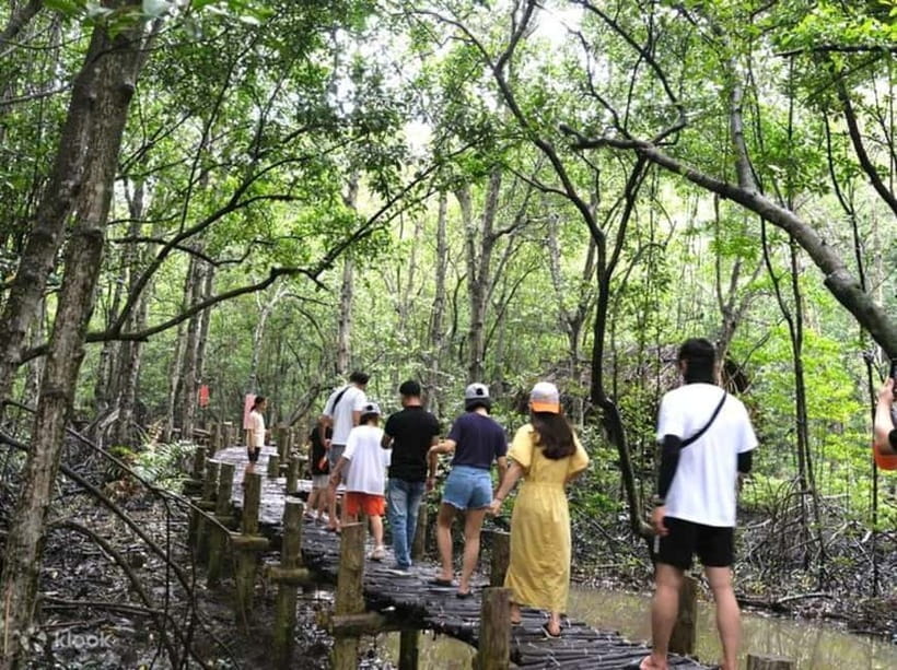 From Ho Chi Minh: Can Gio Monkey Island & Mangrove Tour - Key Points You’ll Care About
