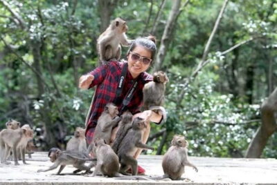 From Ho Chi Minh: Can Gio Monkey Island & Mangrove Tour - Monkey Island on Can Gio: How the monkey time really works