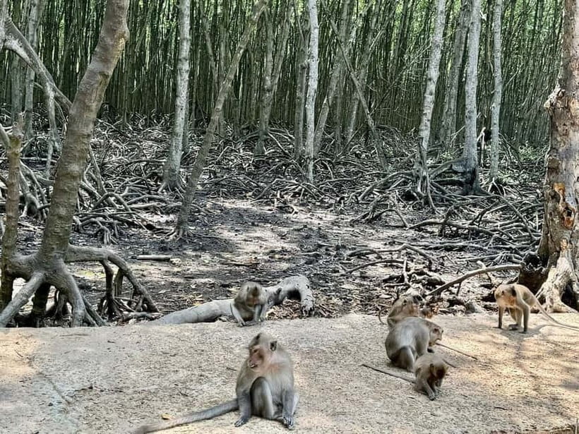From Ho Chi Minh: Can Gio Monkey Island & Mangrove Tour - Lunch, sugarcane juice, and what’s actually included