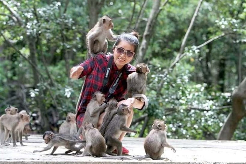 From Ho Chi Minh: Can Gio Monkey Island & Mangrove Tour - Monkey Island on Can Gio: How the monkey time really works