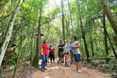 From Ho Chi Minh City: Cu Chi Tunnels Adventure - From Saigon Central Post Office to Cu Chi: time, route, and expectations