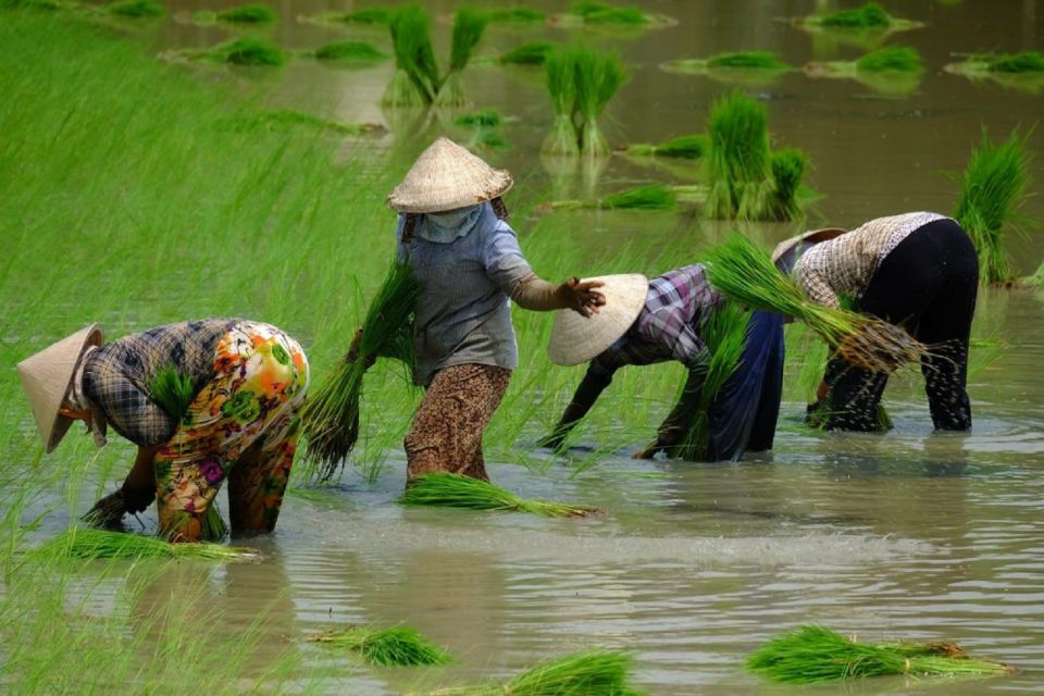 From Ho Chi Minh City: Mekong Delta Full-Day Private Tour - Private Mekong Delta day: what you’re really buying