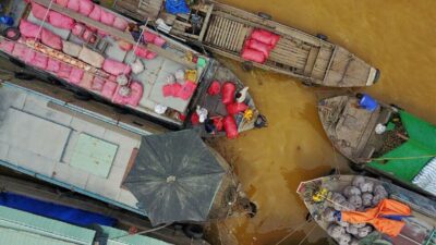 From Ho Chi Minh City: Mekong Delta Full-Day Private Tour - Pickup, drive, and why the trip to Cai Be matters