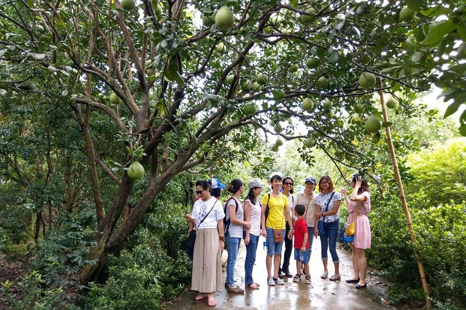 From Ho Chi Minh: Full-Day Mekong Delta Tour to My Tho & Ben Tre - Morning pick-up and the ride out of Ho Chi Minh City