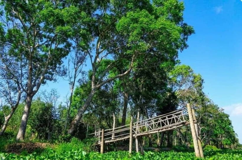 From Ho Chi Minh: Mekong Delta 3-Day Tour with Tra Su Forest - Cần Thơ at night: cruise dinner rules and how to enjoy the free time
