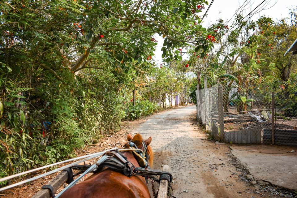 From Ho Chi Minh: Mekong Delta Private Day Tour - Don Ca Tai Tu Folk Music Plus Village-Style Transport