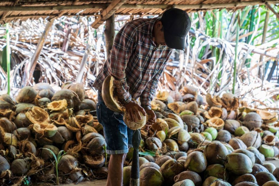 From Ho Chi Minh: Mekong Delta with Ben Tre 1 Day Tour - Key things that make this Ben Tre day tour worth your time