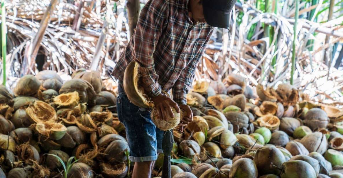 From Ho Chi Minh: Mekong Delta with Ben Tre 1 Day Tour - The 8-hour timeline: what happens from morning to return