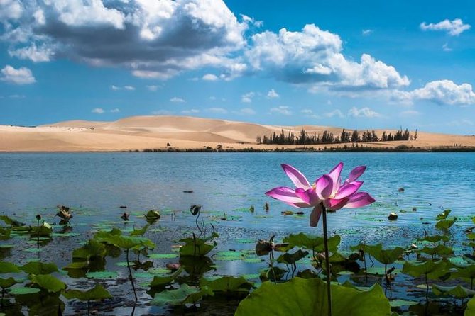 From Ho Chi Minh To Mui Ne Best Day Trip | Sunset Tour - How This Ho Chi Minh to Mui Ne Day Trip Fits Into One Day