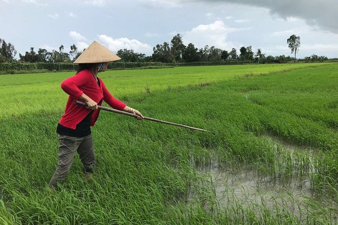 FULL Day - CAI RANG FLOATING MARKET, COOKING CLASS AND EXPLORE THE COUNTRYSIDE - Traditional market shopping: picking ingredients for your own meal