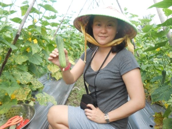 Full-Day Farming & Cooking class at Agricultural Village - Harvesting the ingredients: from hat and basket to the garden rows