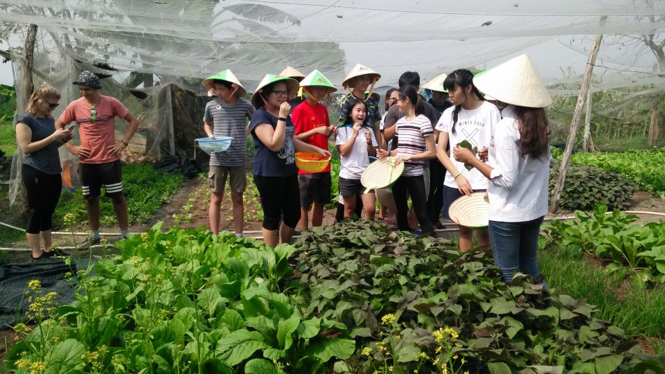 Full-Day Farming & Cooking class at Agricultural Village - Mushrooms, herbs, and unusual fruit: what you learn beyond the “tour stops”
