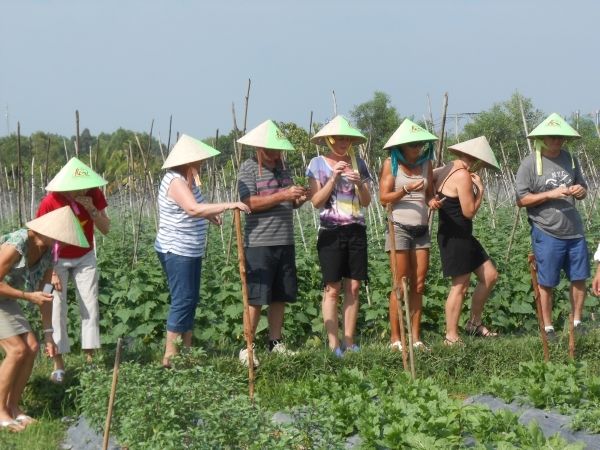 Full-Day Farming & Cooking class at Agricultural Village - Morning pickup and the ride out of Ho Chi Minh City