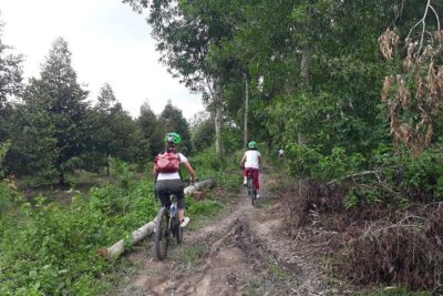 Full Day Off The Beaten Track the Mekong Delta. - Cycling the Mekong countryside: villages on two wheels