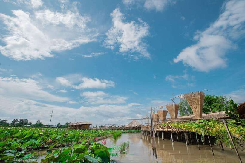 HCM: Authentic Dong Thap Mekong Delta Day Trip & Boat Ride - Rice fields, lotus ponds, and a break from boat time