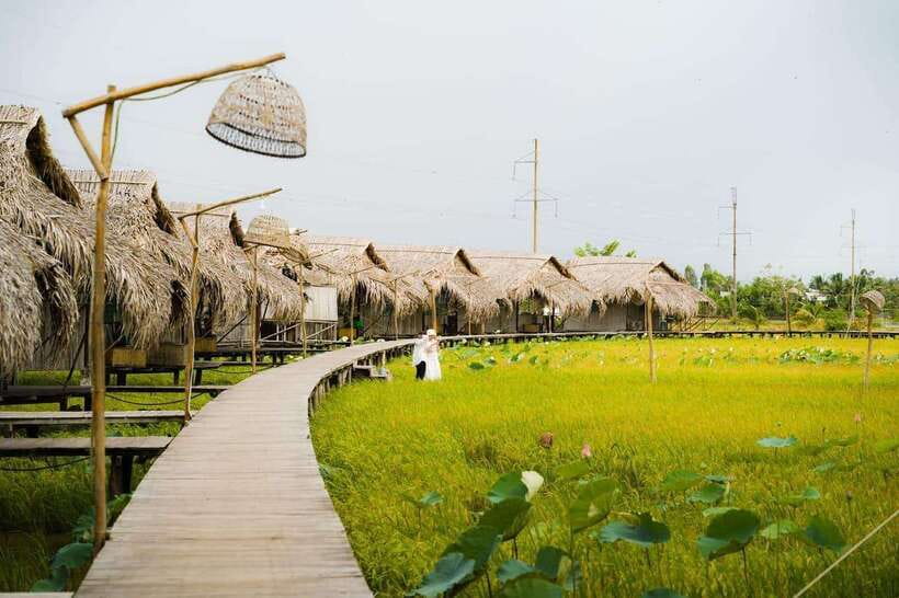 HCM: Authentic Dong Thap Mekong Delta Day Trip & Boat Ride - Lunch: when “traditional” is actually the point
