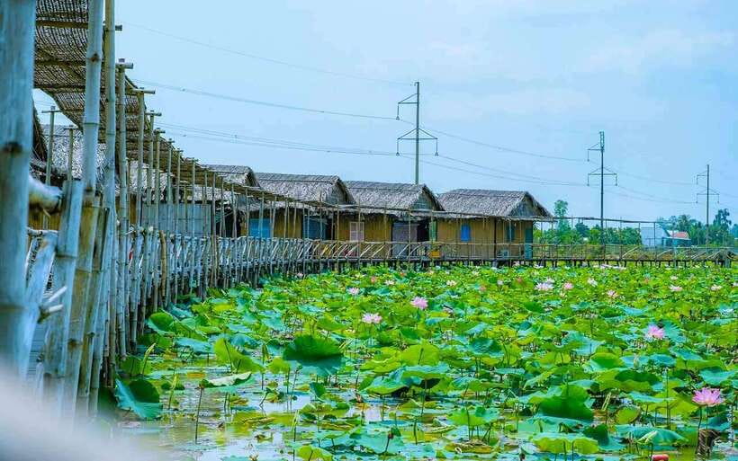 HCM: Authentic Dong Thap Mekong Delta Day Trip & Boat Ride - Who this tour suits best (and who might skip it)
